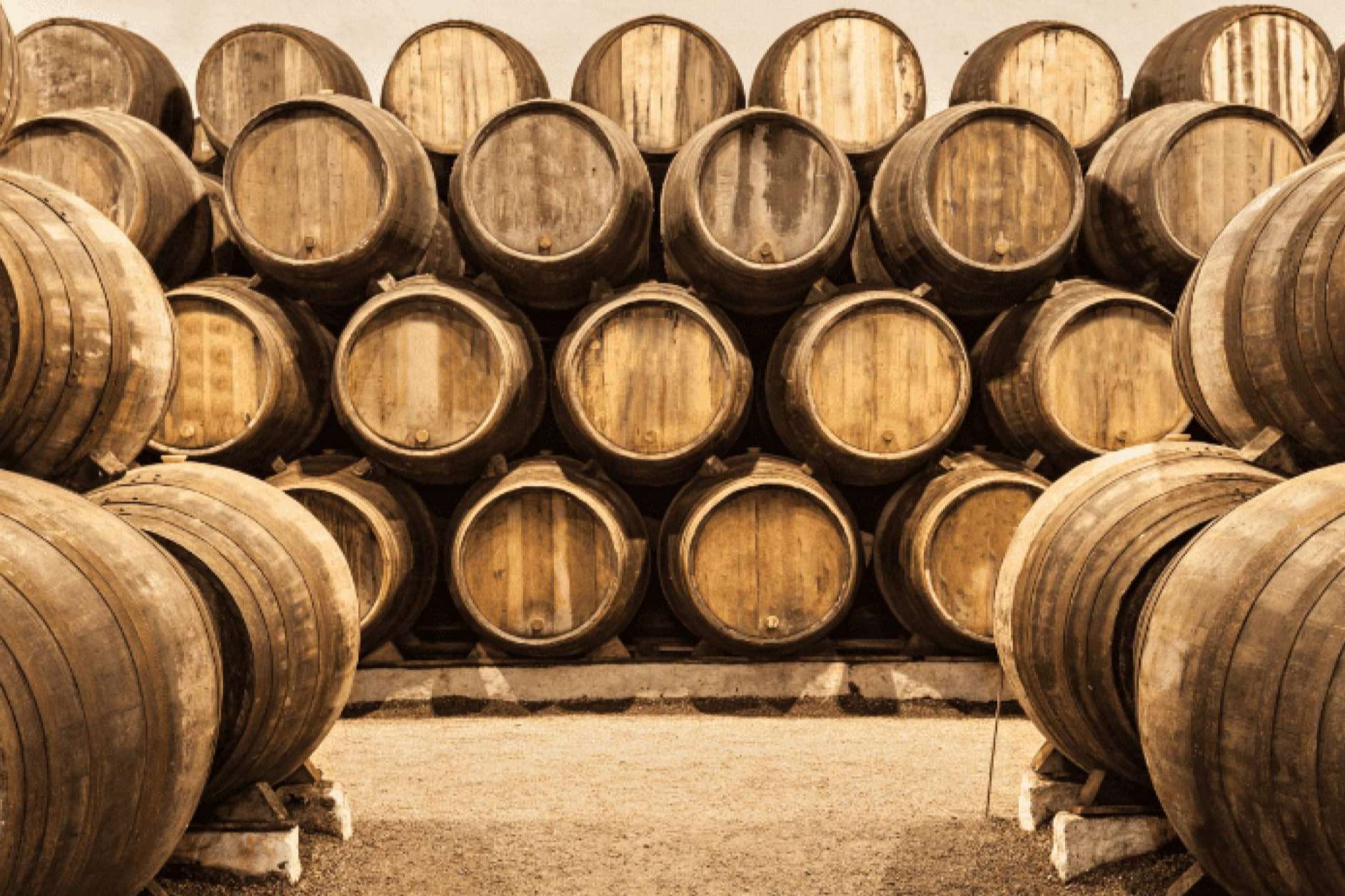 Las bodegas, donde el vino nace