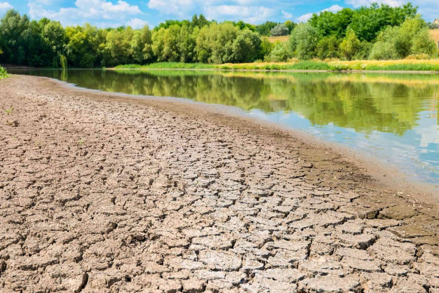 Pluvial ofrece soluciones sostenibles en el ámbito de la gestión del agua