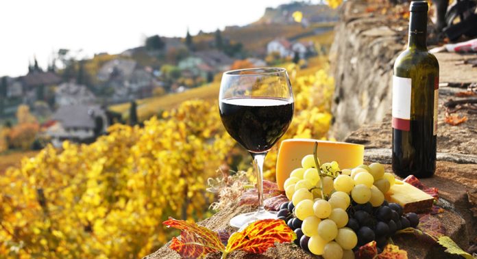 Vinos de Italia