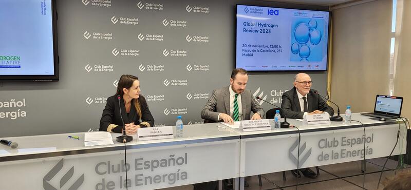 La AIE señala que solo el 4% de los proyectos de hidrógeno verde cuentan con una decisión firme de inversión