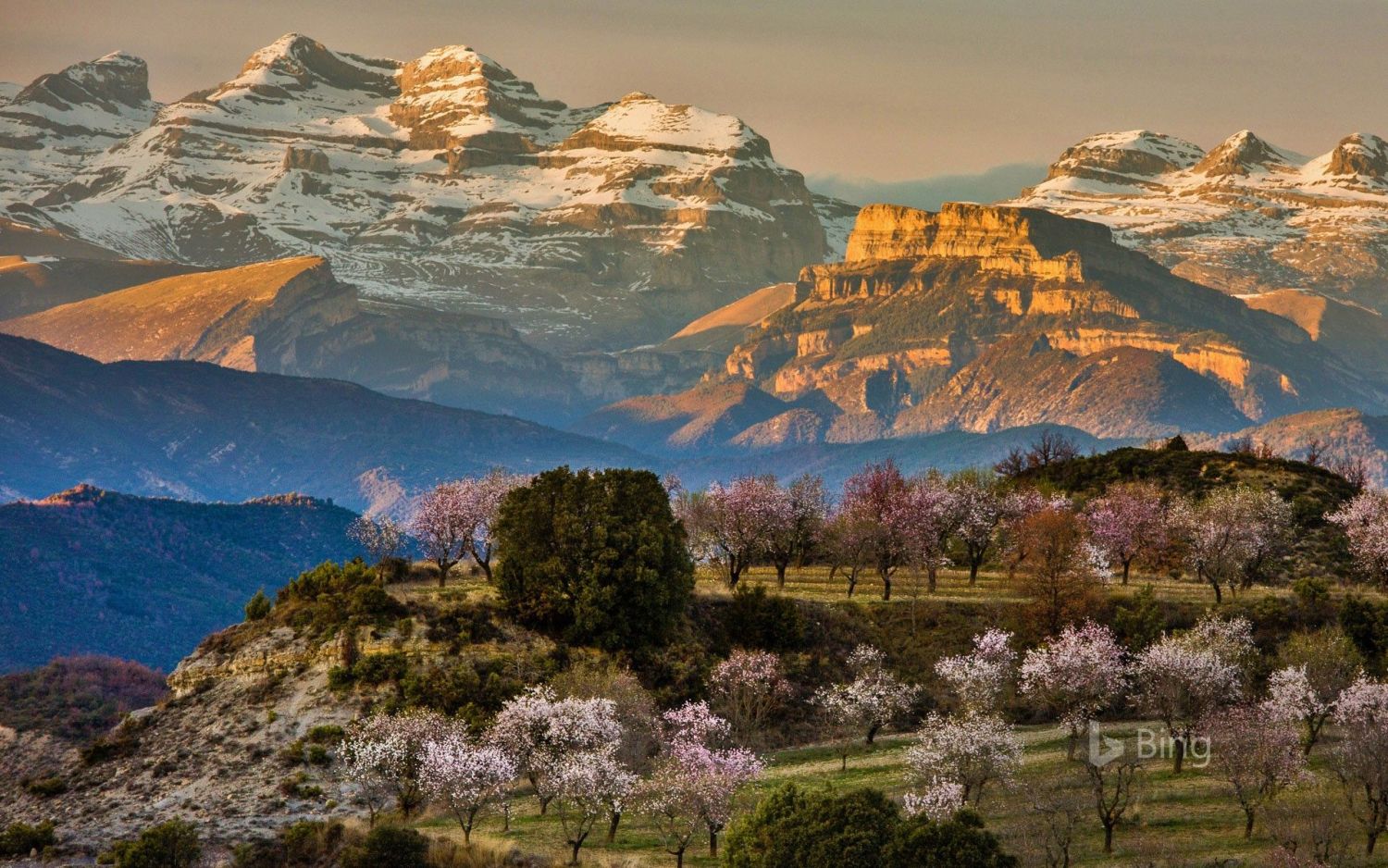 Reconecta con la naturaleza