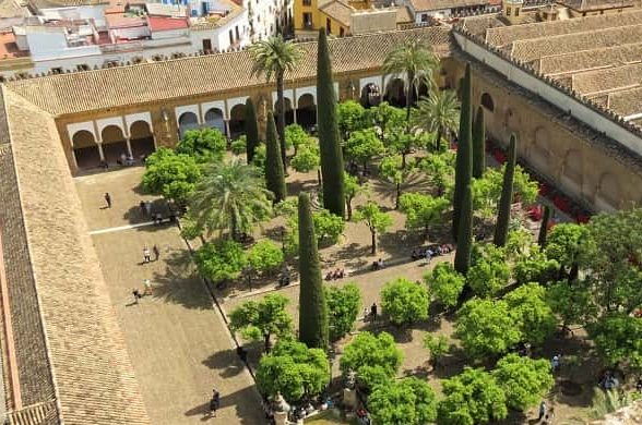 3. El Patio de los Naranjos

