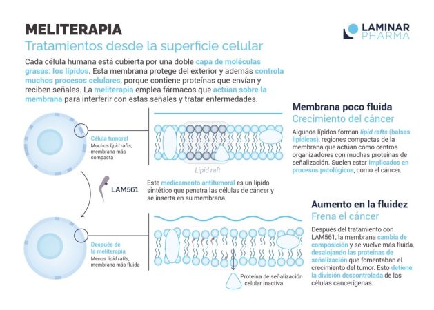 Laminar Pharma 