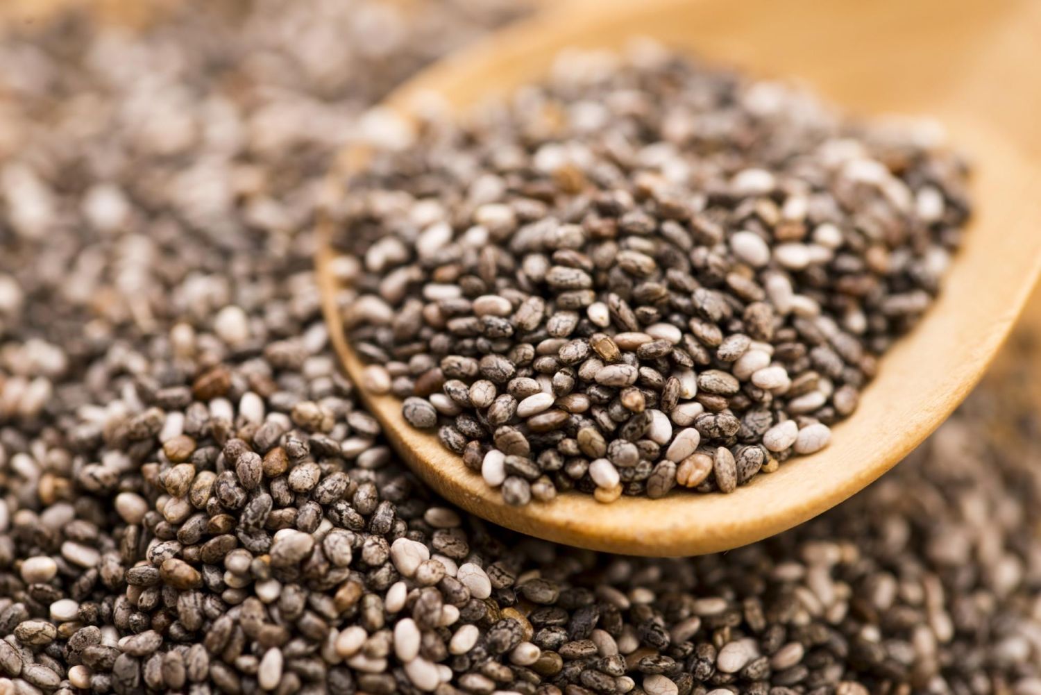 The magic seed is a super food, as it contains 10 times more omega-3s than salmon. 