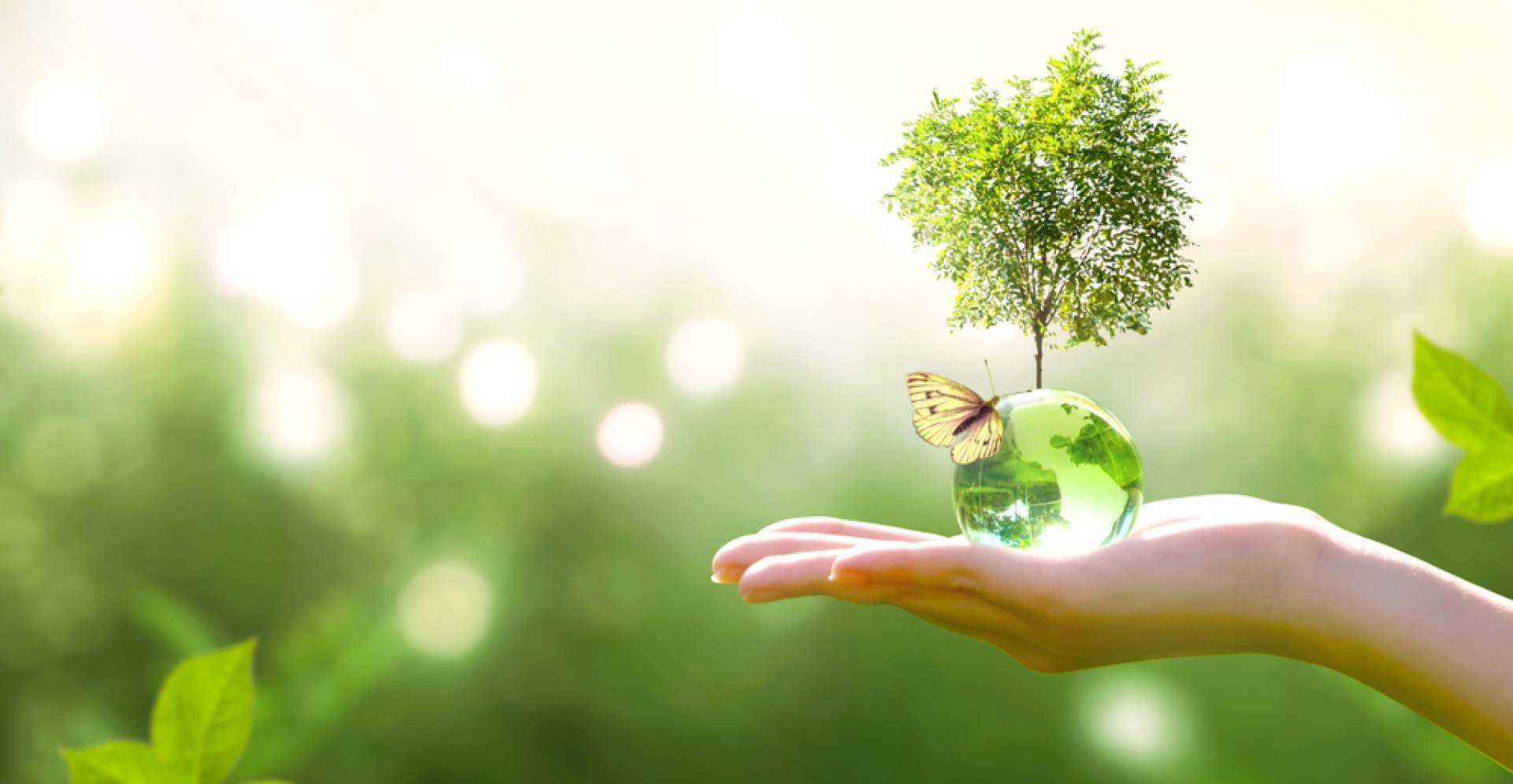 Alternativa ecológica de climatización, Biocool