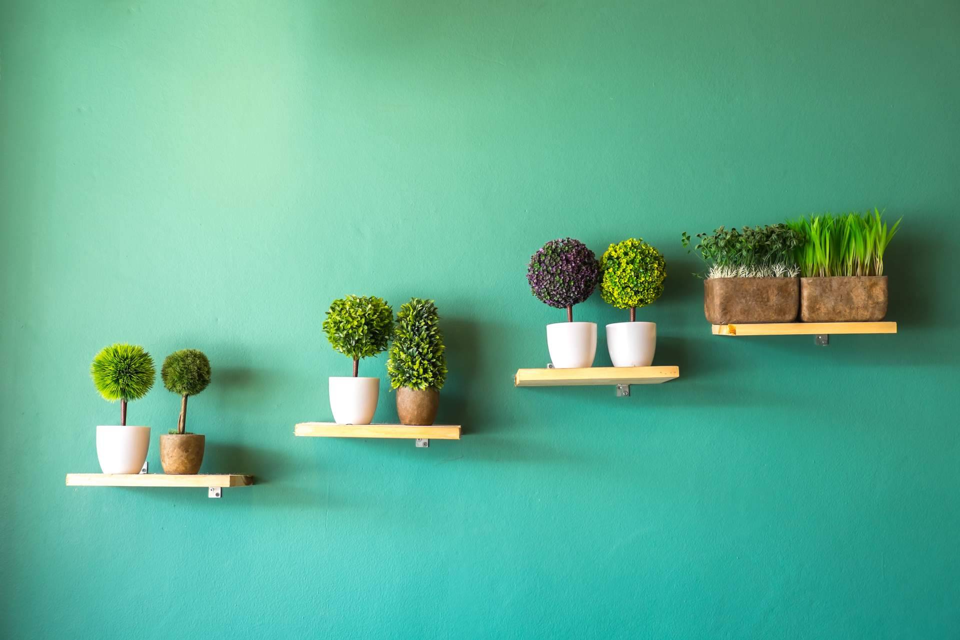 El Black Friday representa la oportunidad perfecta para comprar plantas artificiales en JardinVertical.es