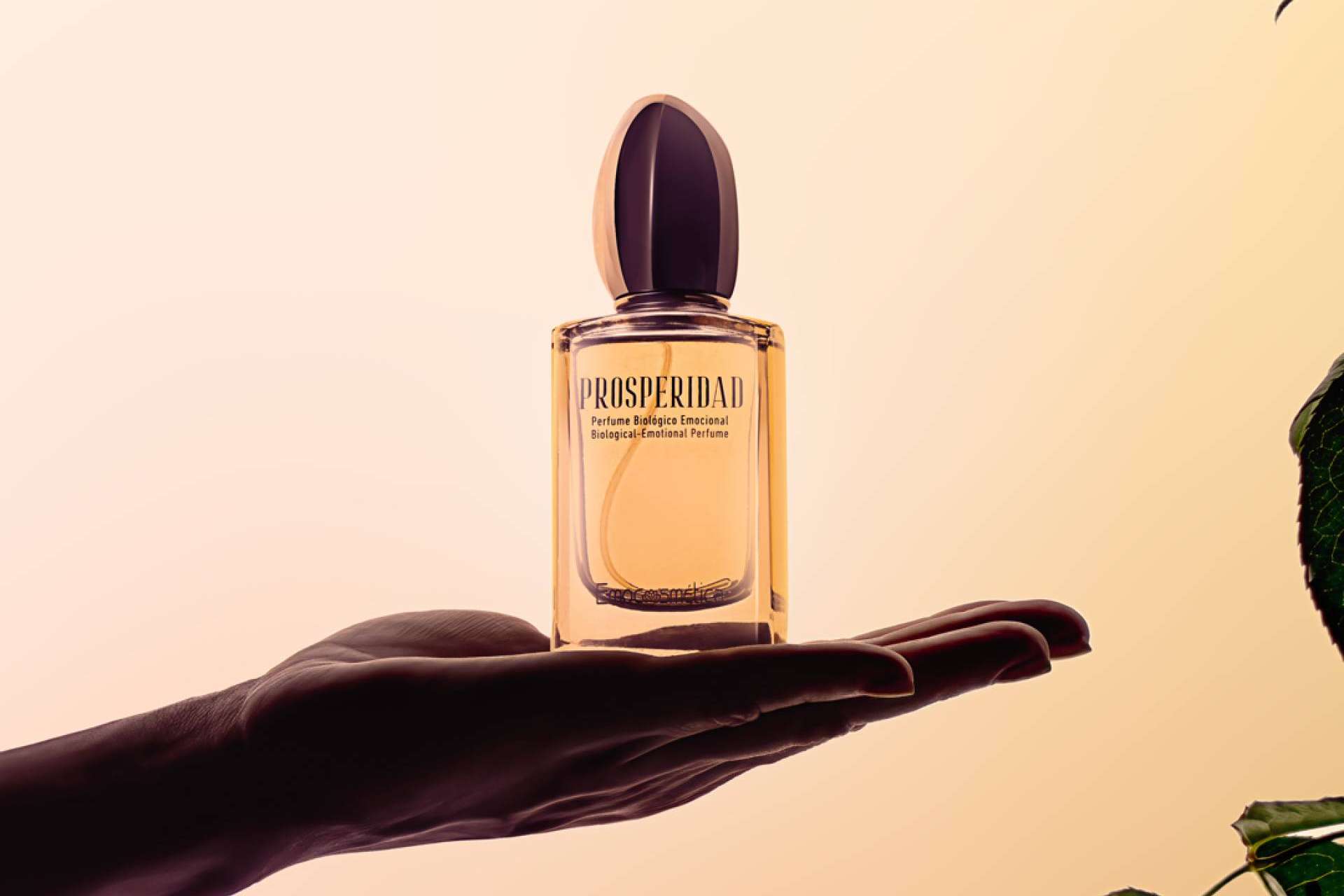 Todo lo que ofrece Emocosmética; una marca en cosmética emocional pionera