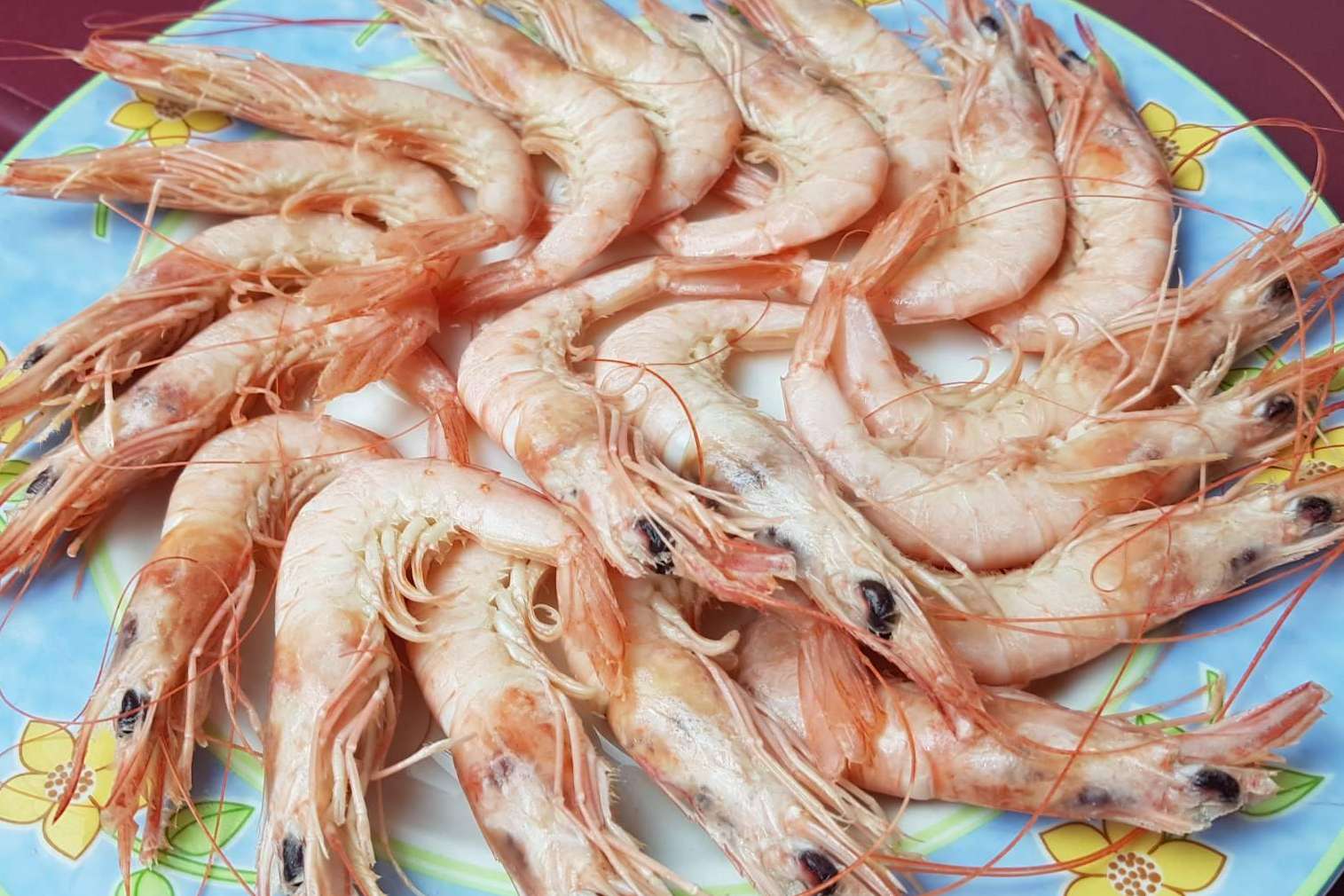 Mantener el marisco fresco, consejos de Lonja de Ayamonte
