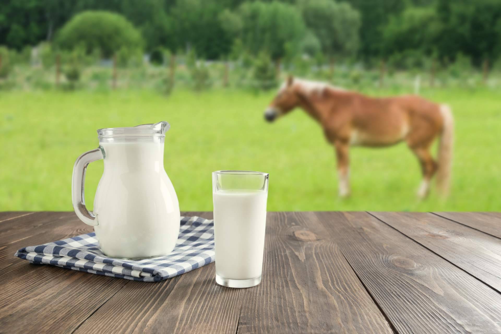 Innovación de fórmulas que maximizan los beneficios de la leche de yegua, con eQuaid