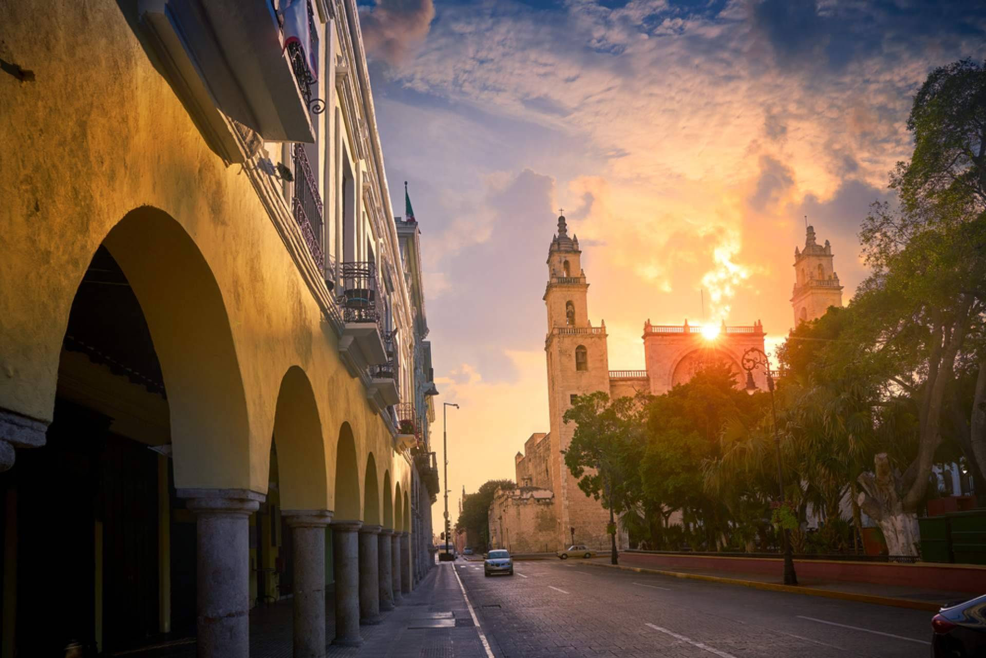 Uno de los líderes en construcción en Mérida, Yucatán, OLEA; GRUPO CONSTRUCTOR