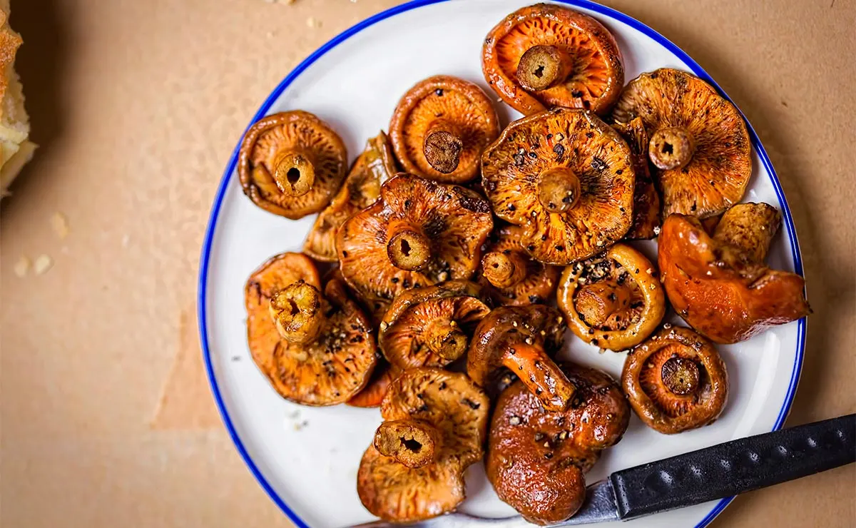 Guiso de níscalos: la mejor forma de cocinar la seta más deseada del otoño