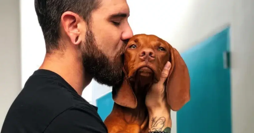 perros Merca2.es