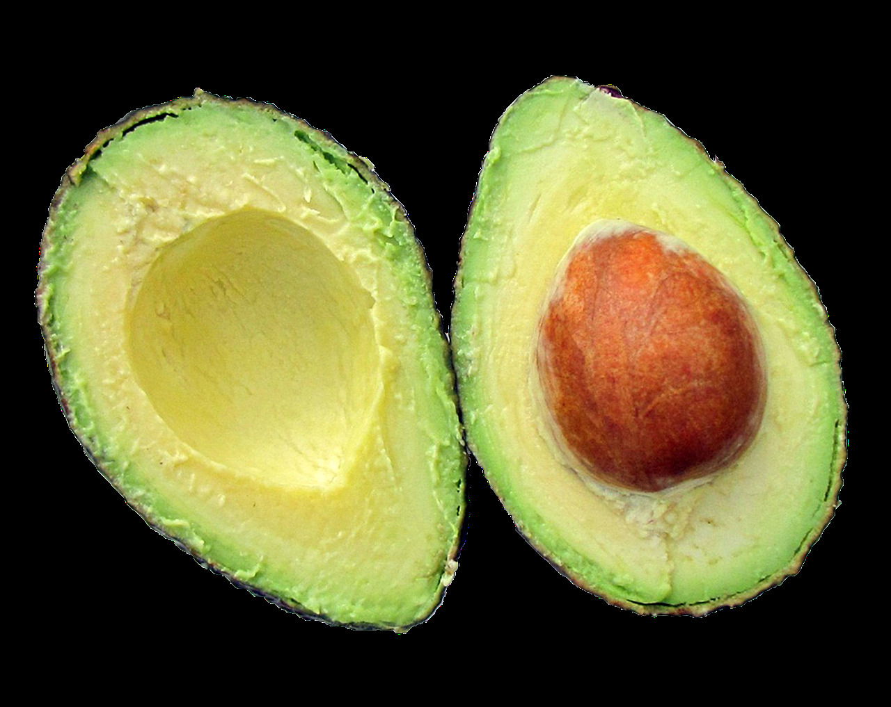 El aguacate es como el cerdo, de él se aprovecha hasta el hueso, descubre sus múltiples usos