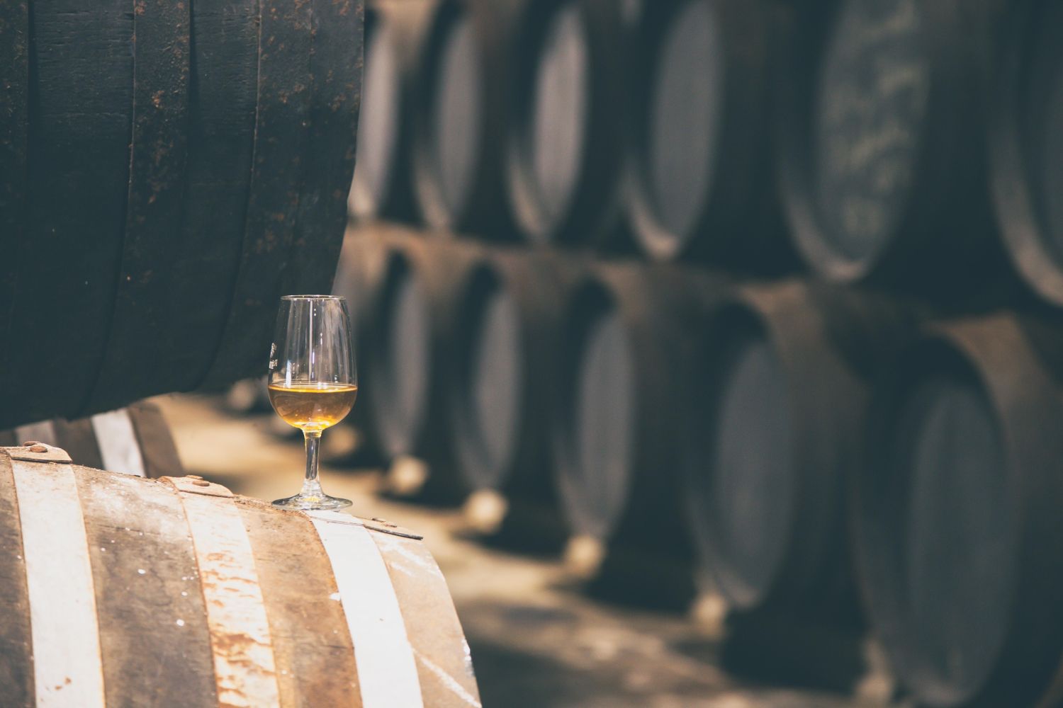 Rutas vinícolas de La Rioja: Entre viñedos y bodegas, un brindis por la vida