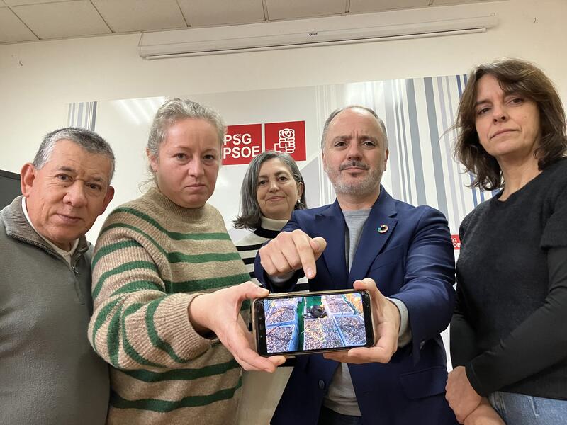 PSdeG pide «medidas rápidas» para las mariscadoras ante la «pérdida completa» de la campaña de Navidad