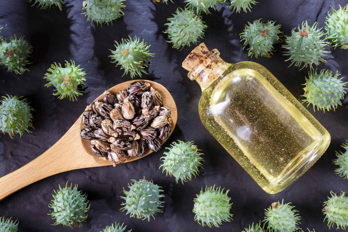 Estos son los beneficios y usos del aceite de ricino