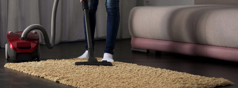 1. Aspiradoras y cepillos de cardas: