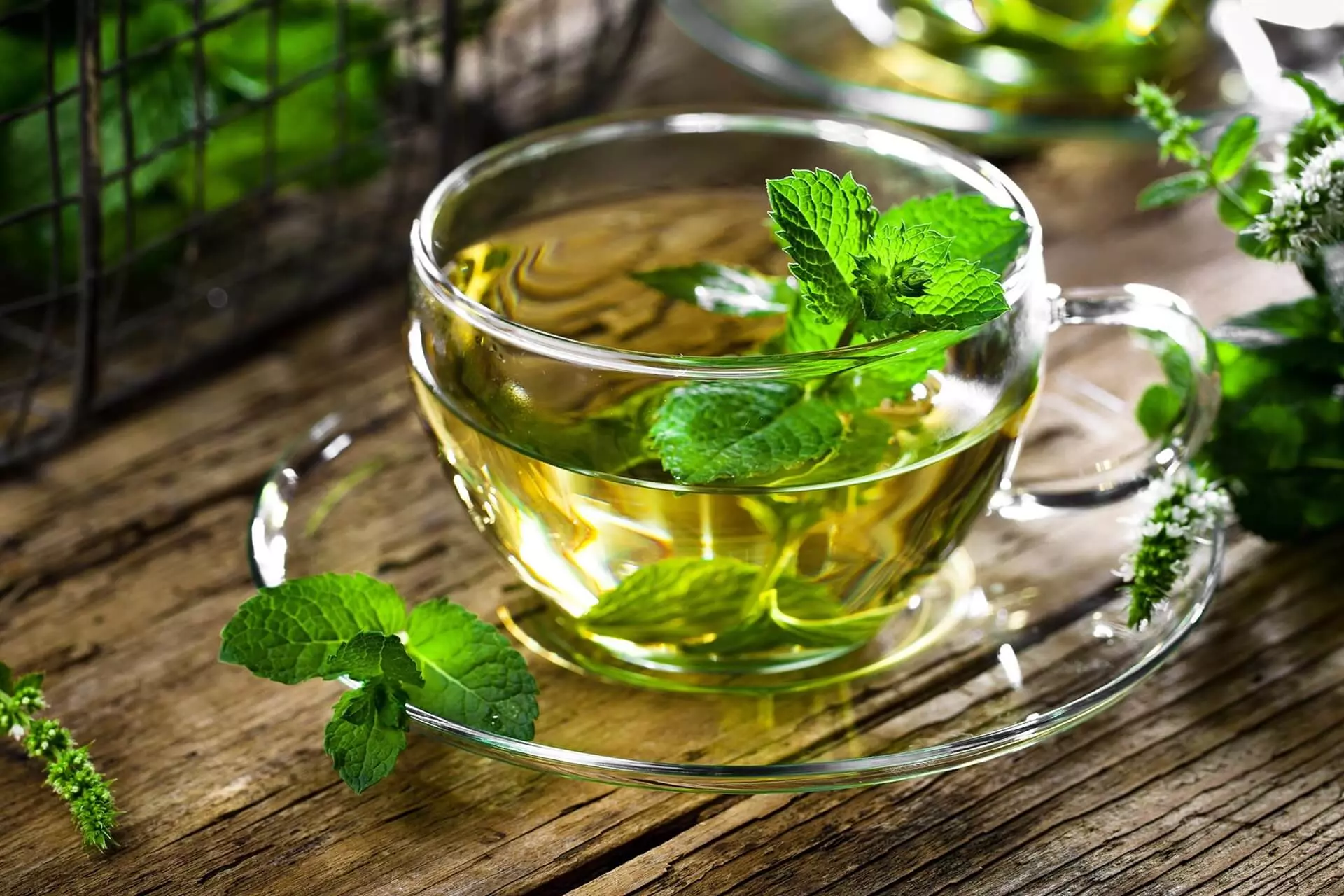Di adiós al estreñimiento con estas infusiones, son mano de santo