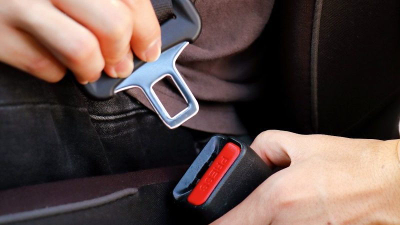 La DGT recomienda abrochar siempre los cinturones de atras del coche por este importante motivo 2 Merca2.es