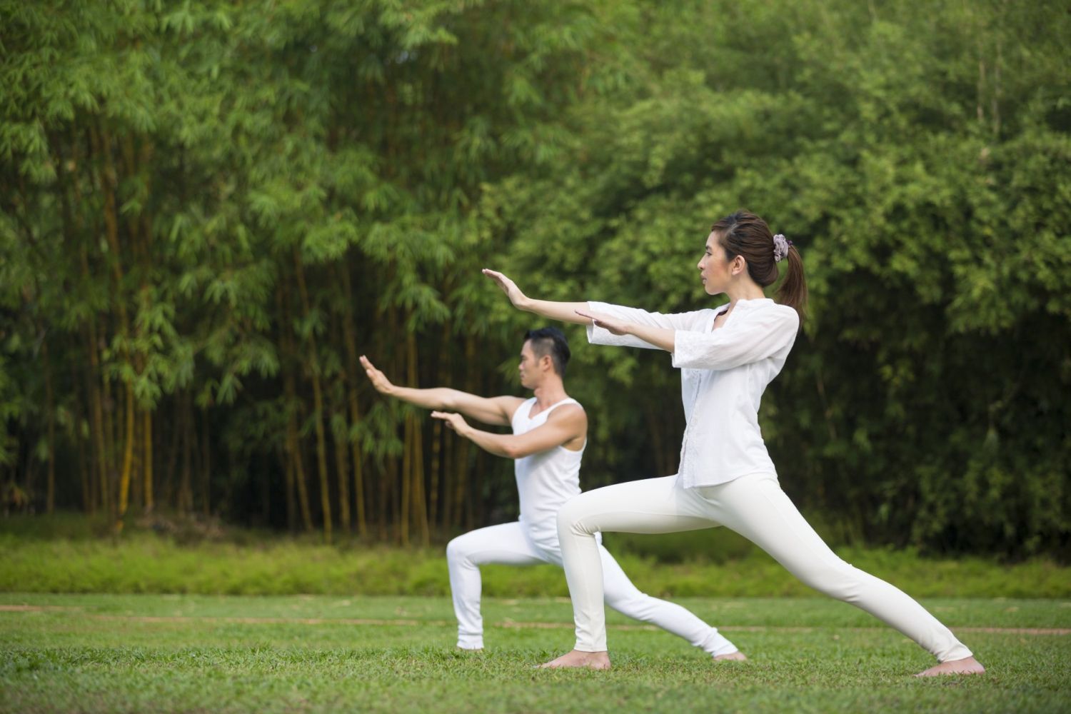 LOS FUNDAMENTOS DEL QI GONG