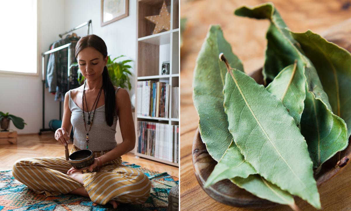 Según el Feng Shui te decimos los mejores sitios para colocar el laurel para atraer a la suerte este 2024