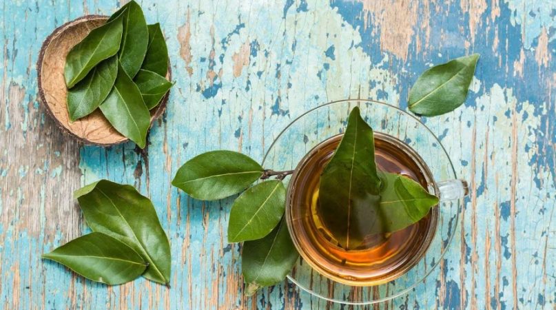 2. Ramillete de laurel en agua con sal: baño mágico para tu espacio