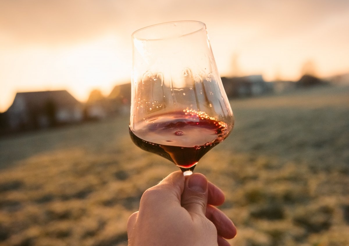 Siempre se ha dicho que una copa de vino al día es buena para la salud ¿es eso cierto?