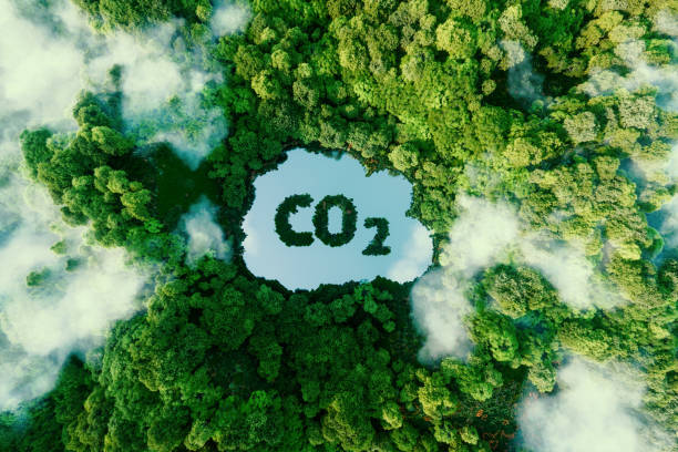 Copenhagen Infrastructure Partners (CIP) lanza el fondo GMF II para proyectos sostenibles 2 Merca2.es Sostenibles istockphoto Merca2.es