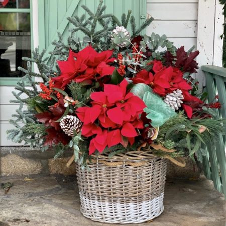 centro poinsettias rojas fiorella floristeria verde pimienta las rozas majadahonda pozuelo madrid Merca2.es