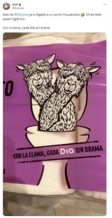 De la cesta de la compra a las redes sociales: estos son los 5 productos Dia más virales del año 5 Merca2.es dia llama Merca2.es