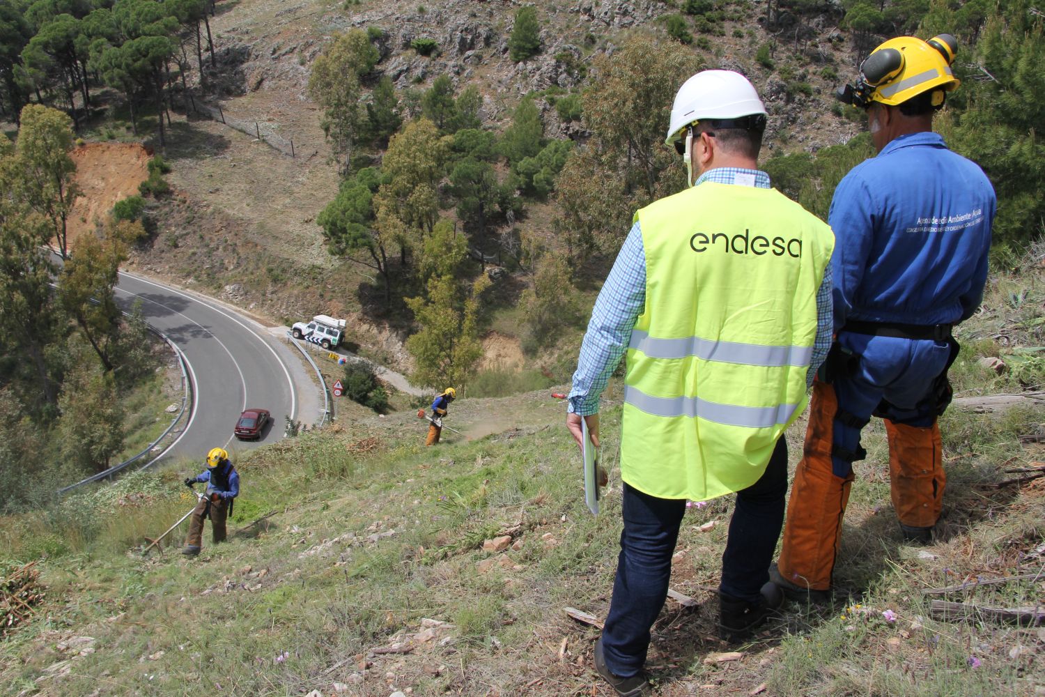 Las labores de tala y poda de Endesa contribuyen a la conservación de la biodiversidad y el desarrollo local con la creación de 2.000 empleos al año