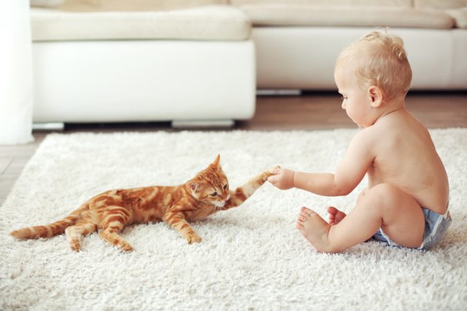 gatos ninos casa 1 Merca2.es