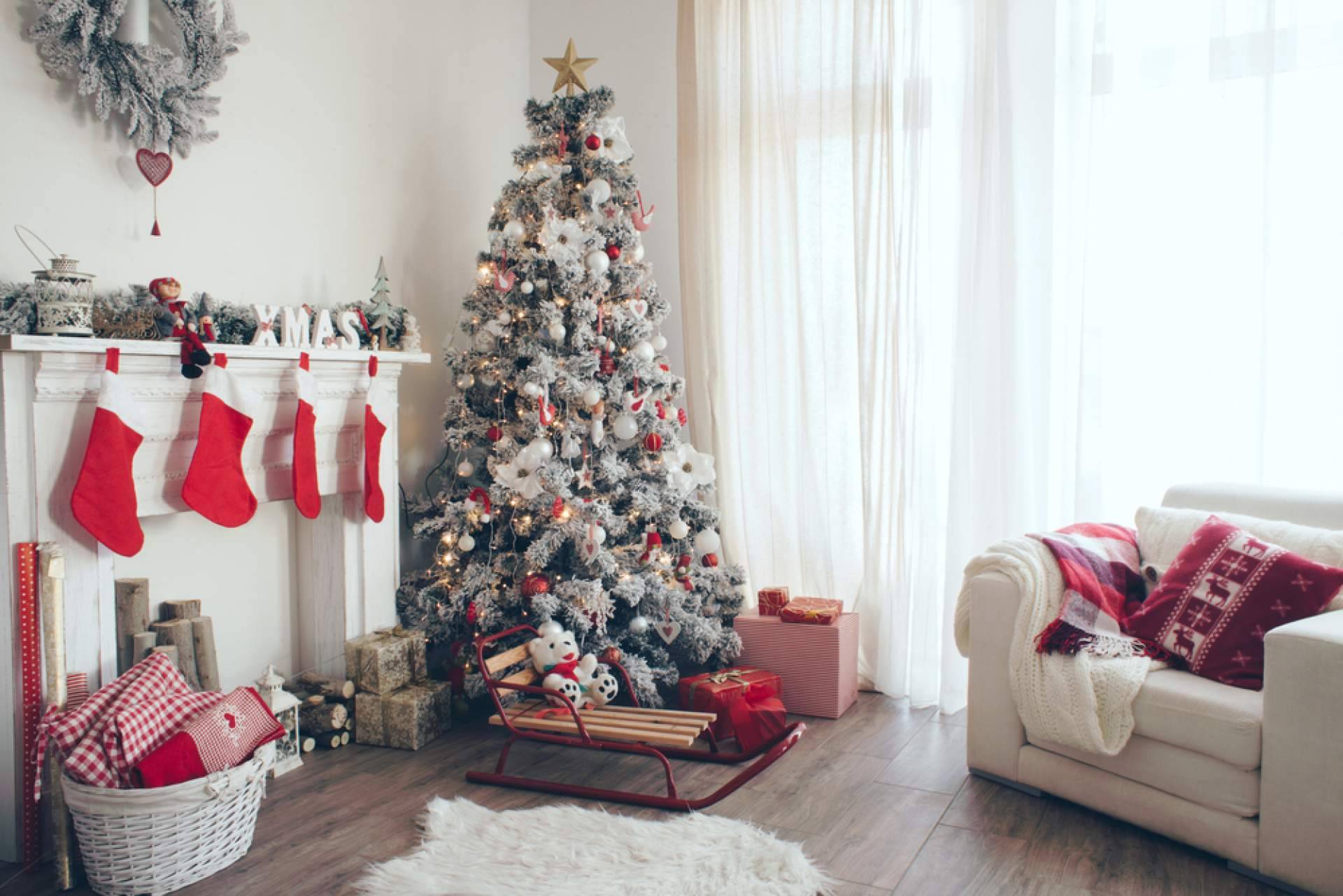 Adquirir árboles de Navidad sostenibles de la mano de Navet