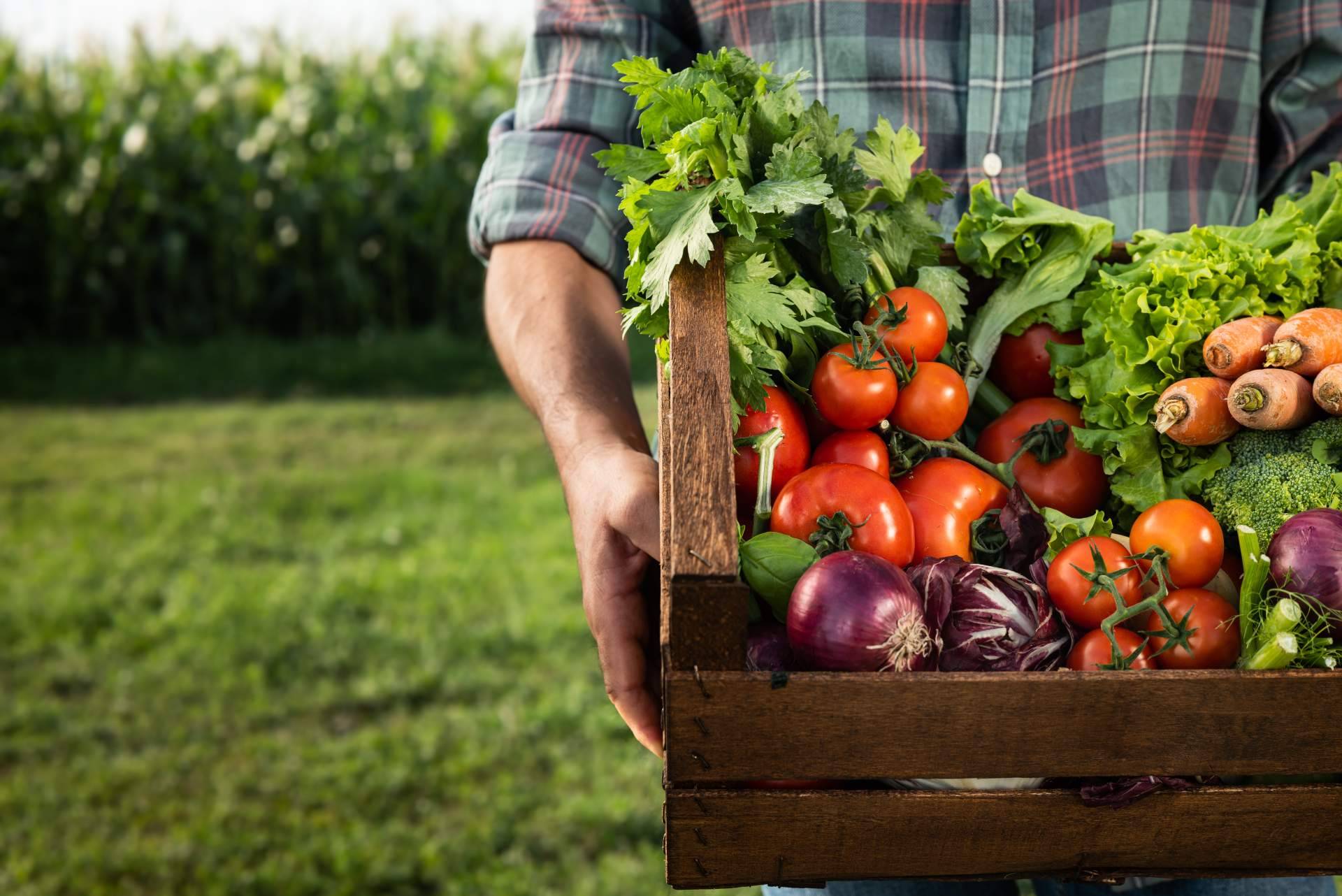 ¿Por qué está creciendo la venta online de productos ecológicos y sostenibles?
