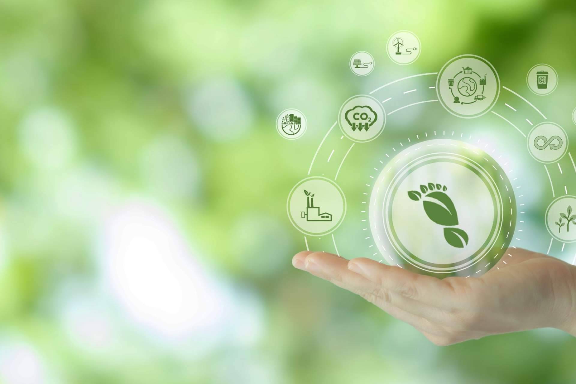 Multienergía Verde reduce su huella de carbono en un 90 % desde 2019