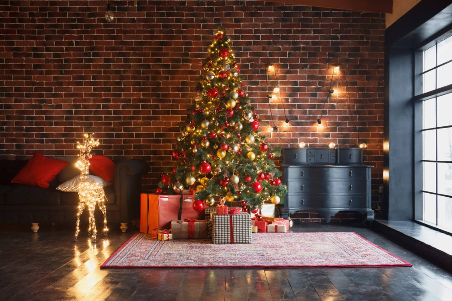 Navet cuenta con árboles de Navidad naturales para la venta