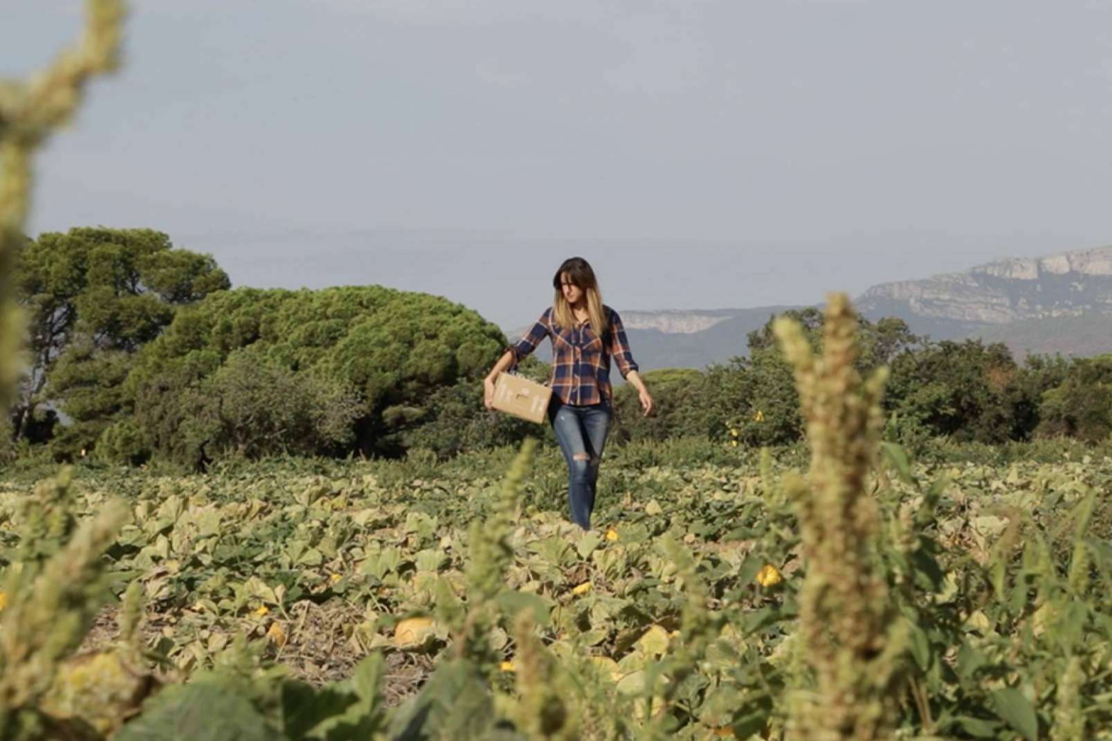 Disfruta y Verdura permite comprar verduras online en cualquier momento y desde cualquier lugar