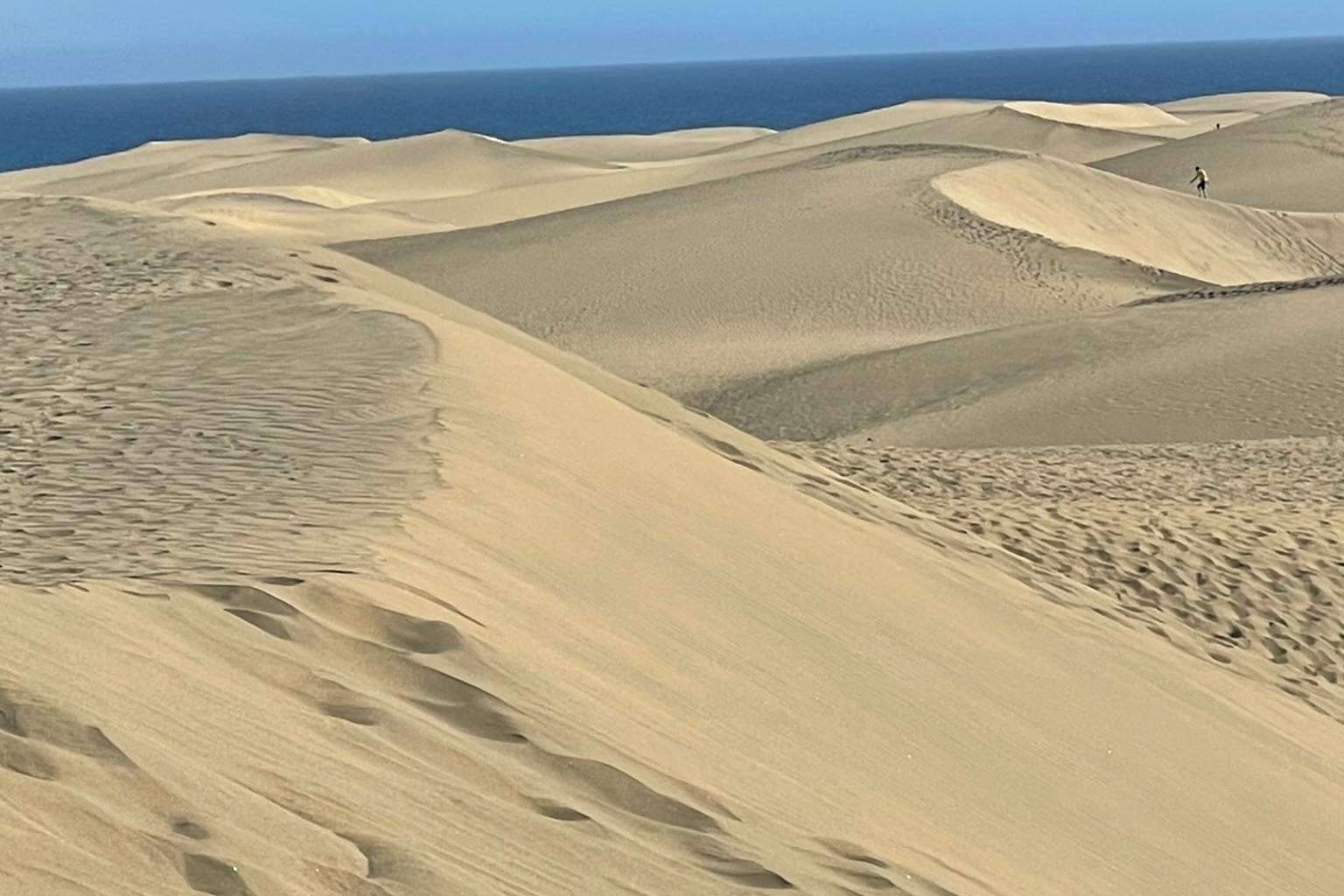 ¿Cómo gestionar el alquiler de propiedades en San Bartolomé de Tirajana? Inmoplanet Canarias