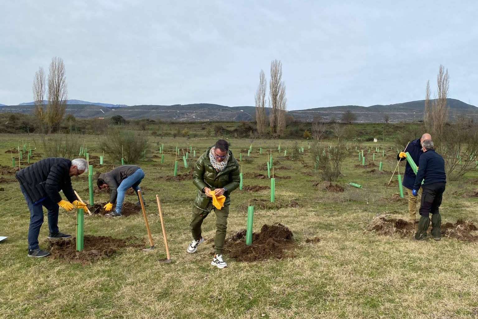 Nuevo bosque en Torremocha de Jarama; Foxy y Fundación Alcoraz