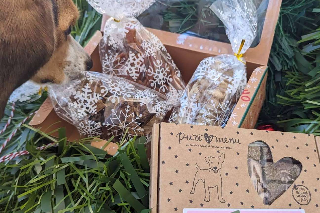 El regalo de navidad perfecto para un perro con NaturWild