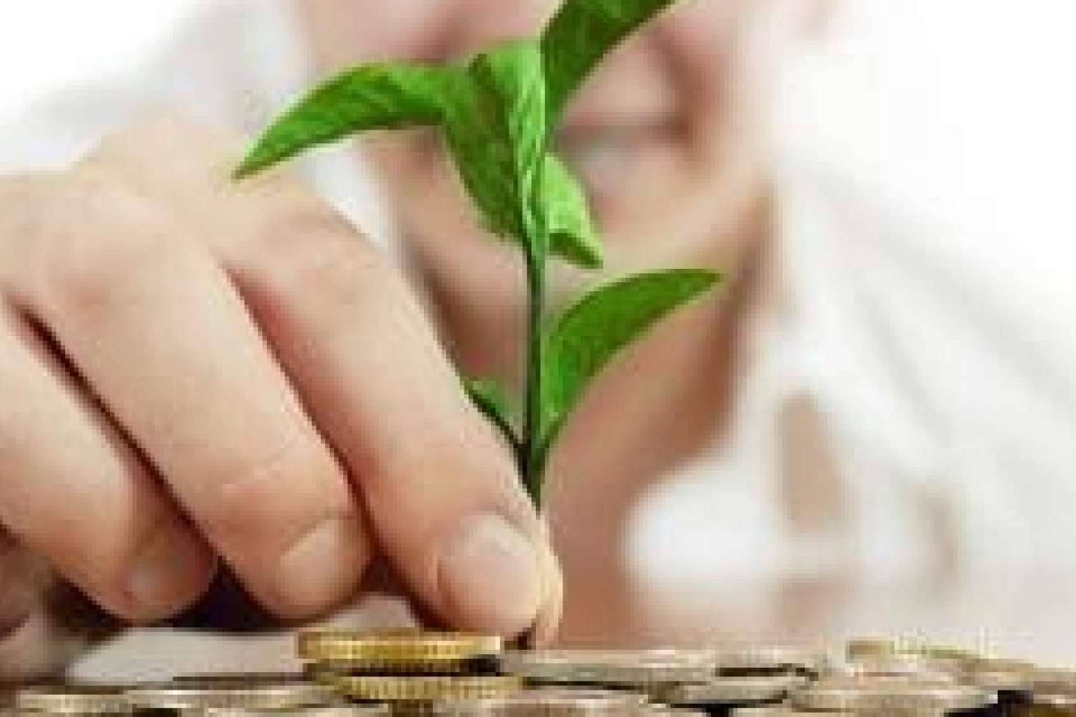 ¿Quién necesita un asesor financiero personal?