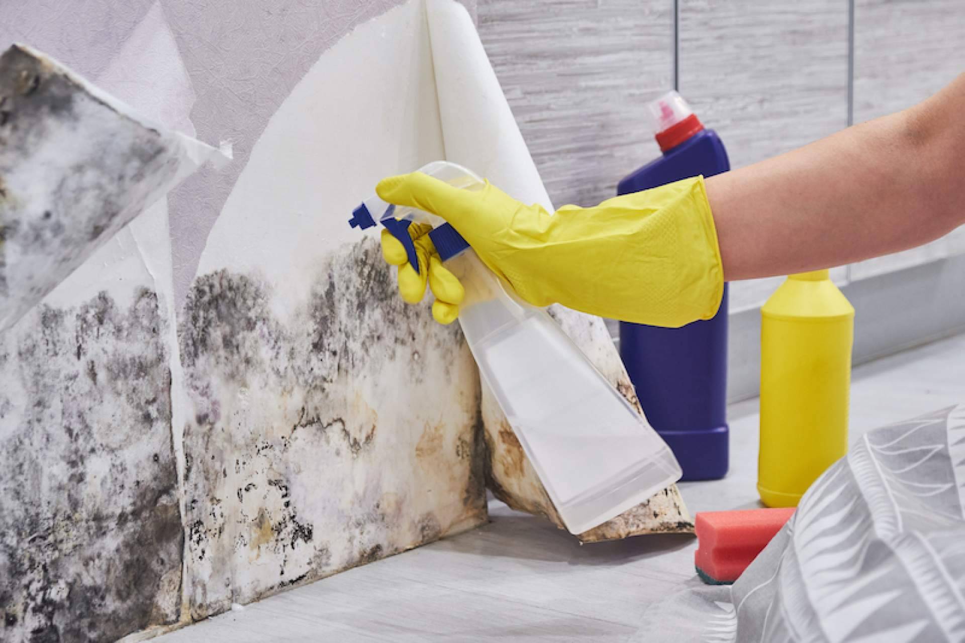 Tratamiento de distintos tipos de humedades; capilaridad, filtraciones, condensación