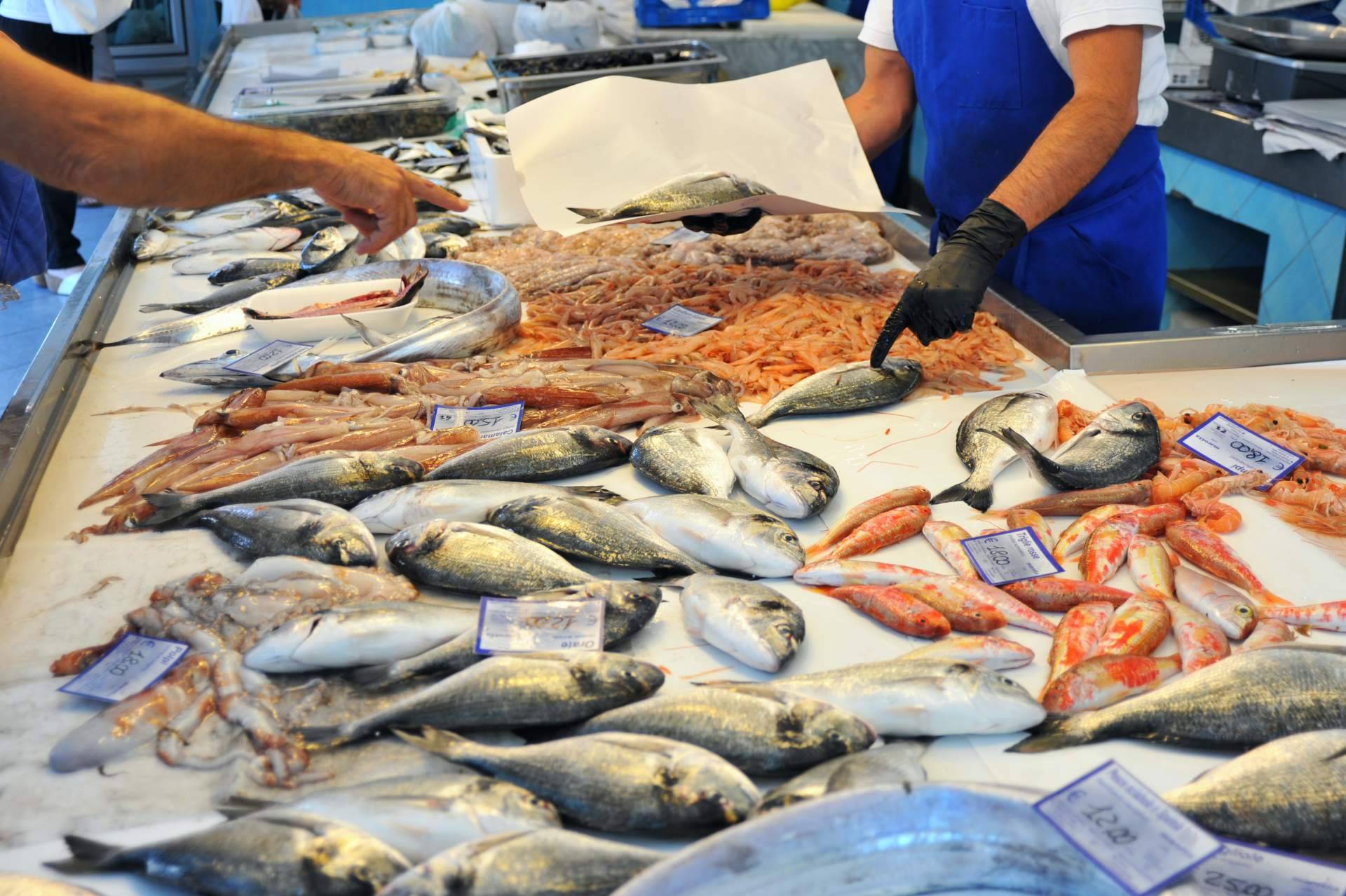 Pescadería Younes Ceuta ofrece crustáceos frescos