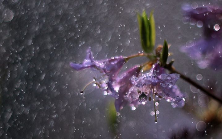 lluvia 1 Merca2.es