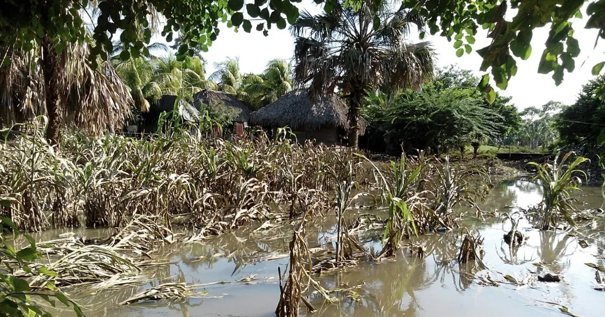 IMPACTO DE LA LLUVIA EN LA ECONOMÍA Y LA SOCIEDAD