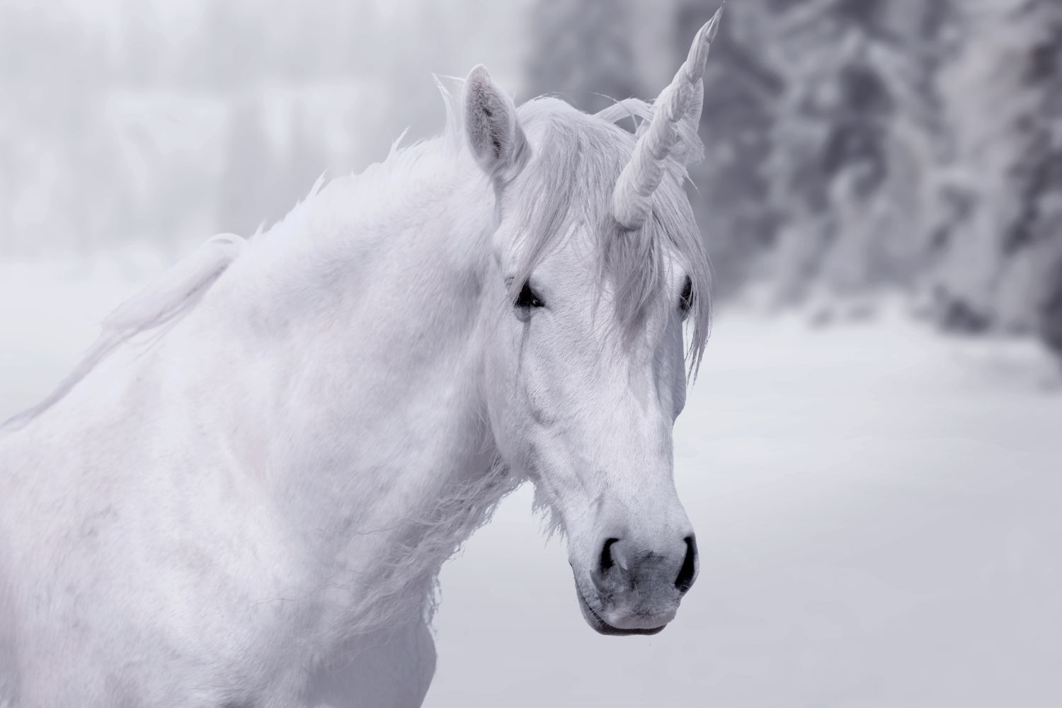Bain & Company desliza que los ‘unicornios’ que ingresan 1.000 millones brillan por su ausencia