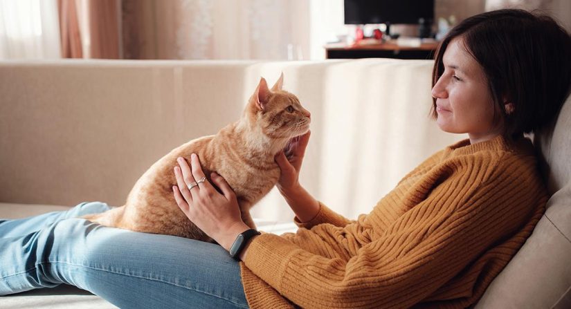 ¿Con quien prefieren los gatos establecer vinculos con los hombres o las mujeres La ciencia responde 12 Merca2.es