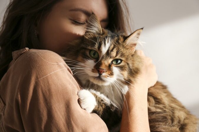 Lo que se hizo con el estudio científico sobre los afectos de loas gatos