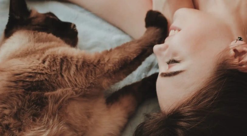 Las distintas clases de personalidad de los gatos