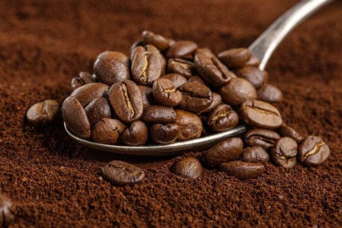 Café o café en granos